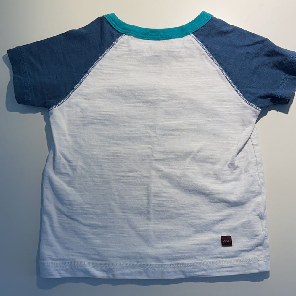 Boys Tea Collection t-shirt 🐠 - Picture 3 of 3